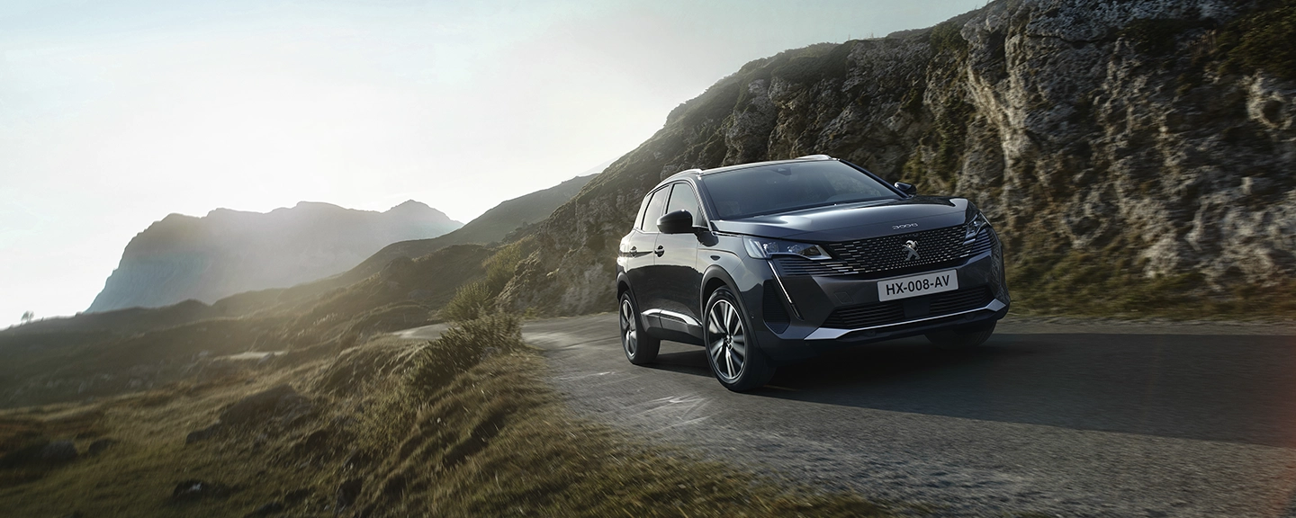 
								Peugeot 3008								